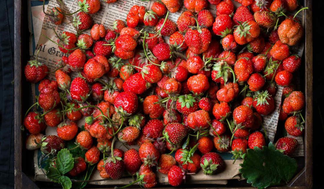 Erdbeeren in einer Erntekiste