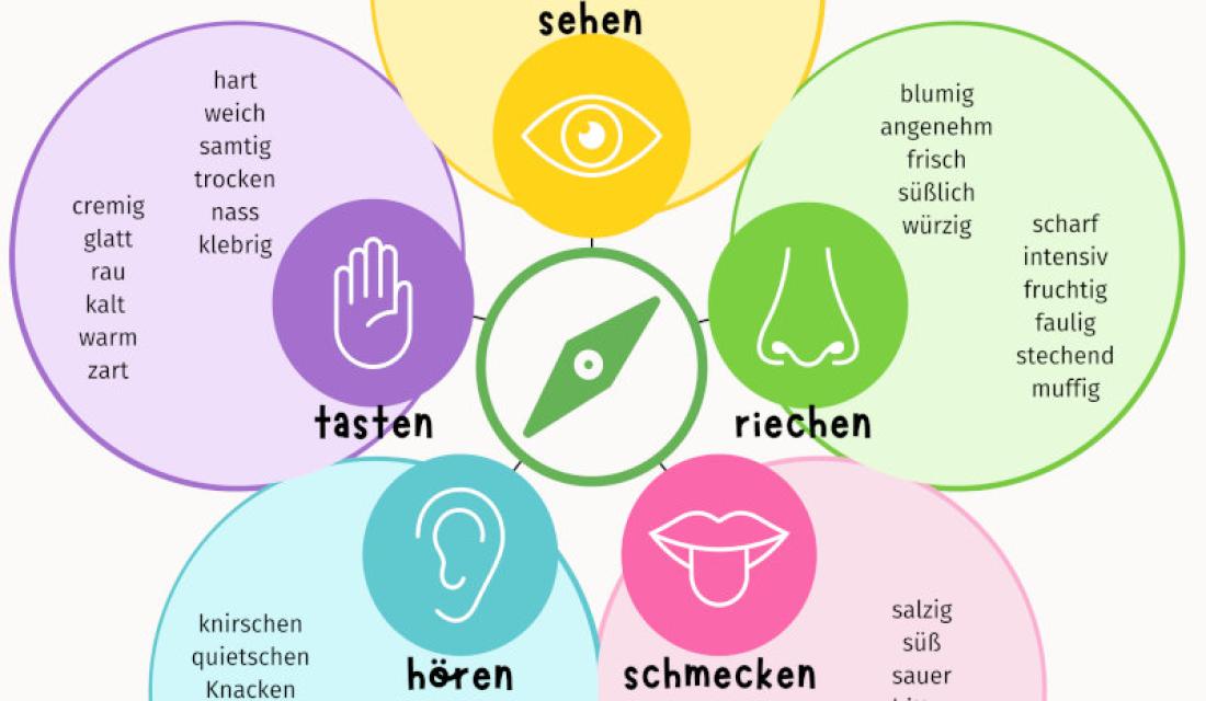 Sinneskompass Sehen, Tasten, Riechen, Hören, Schmecken.