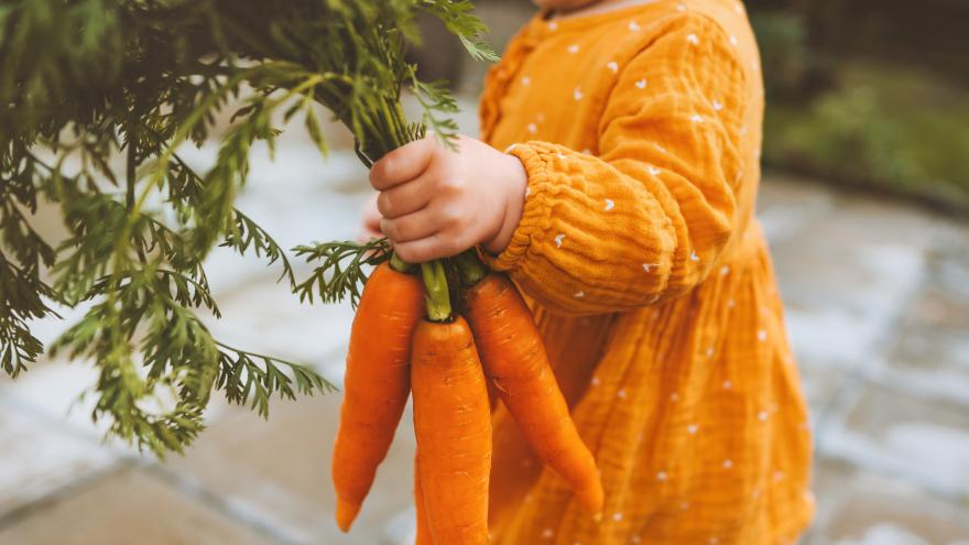 Kind hält Karotten in der Hand