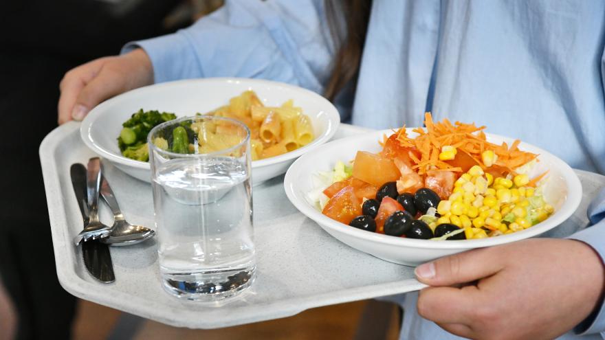 Mensatablett mit klimafreundlichen Essen